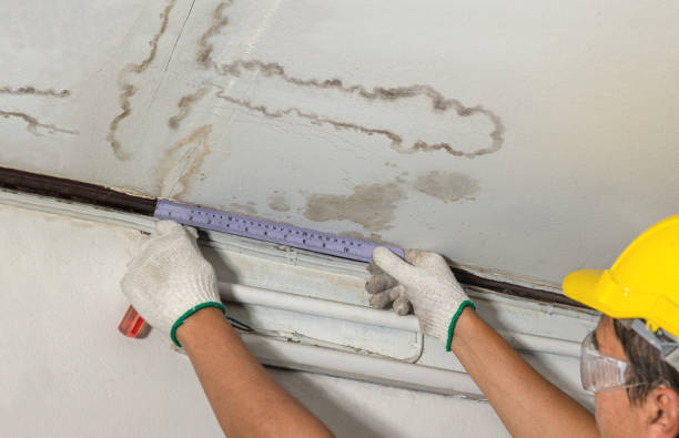 Reliable Water Damage contractor in West Lafayette, OH by Water Damage Irwin